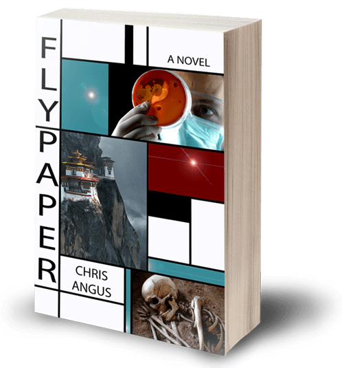 Flypaper book cover